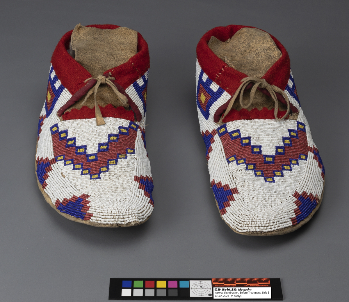 moccasin