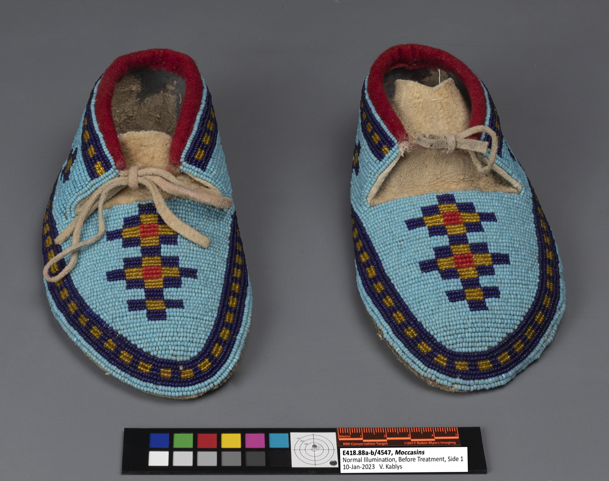 moccasin