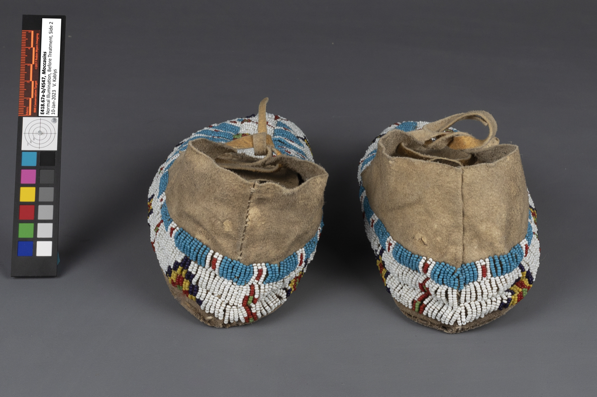 moccasin