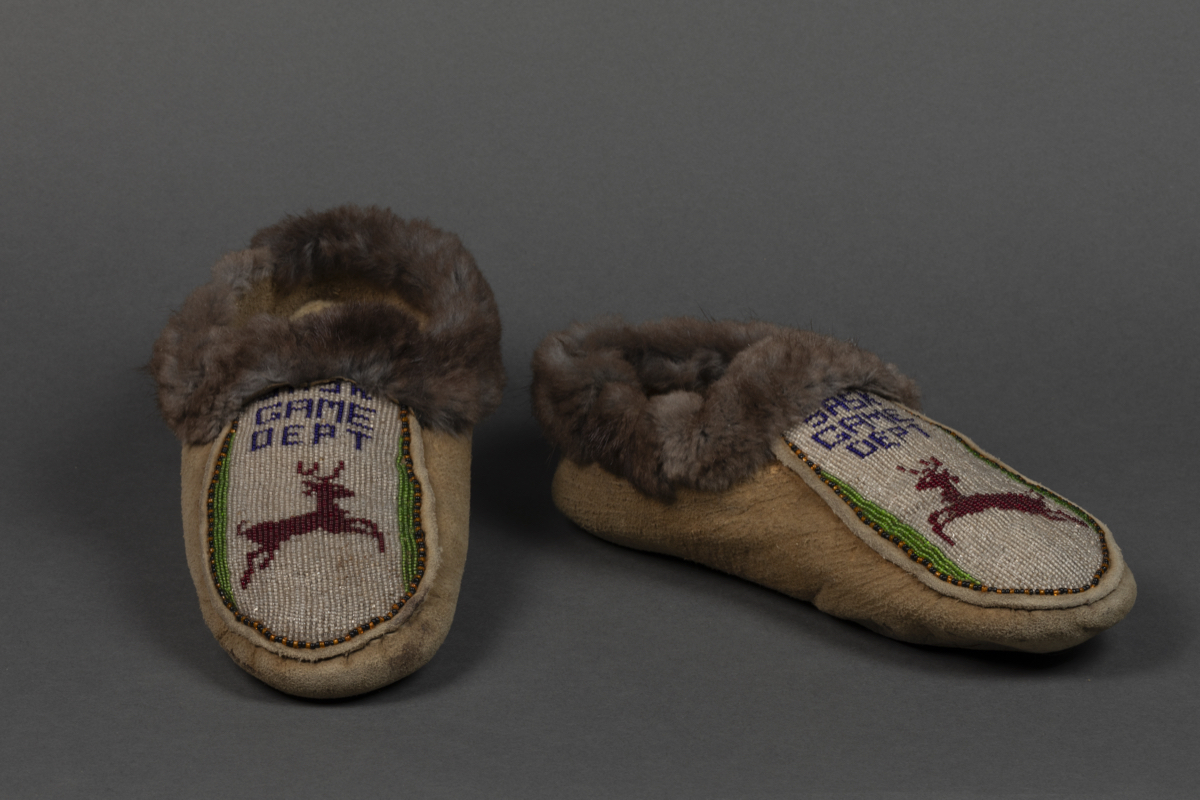 moccasin