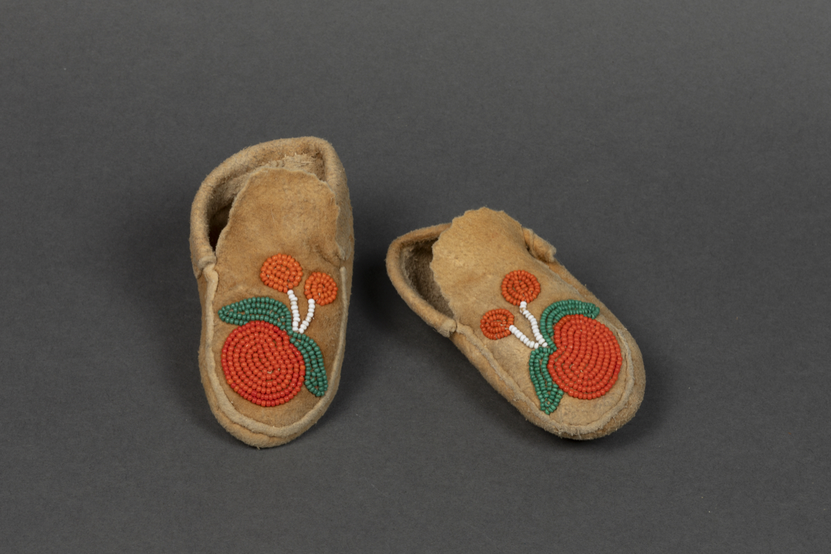 Moccasin