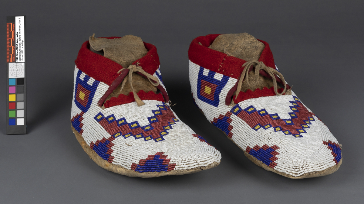 moccasin