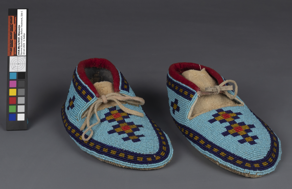 moccasin