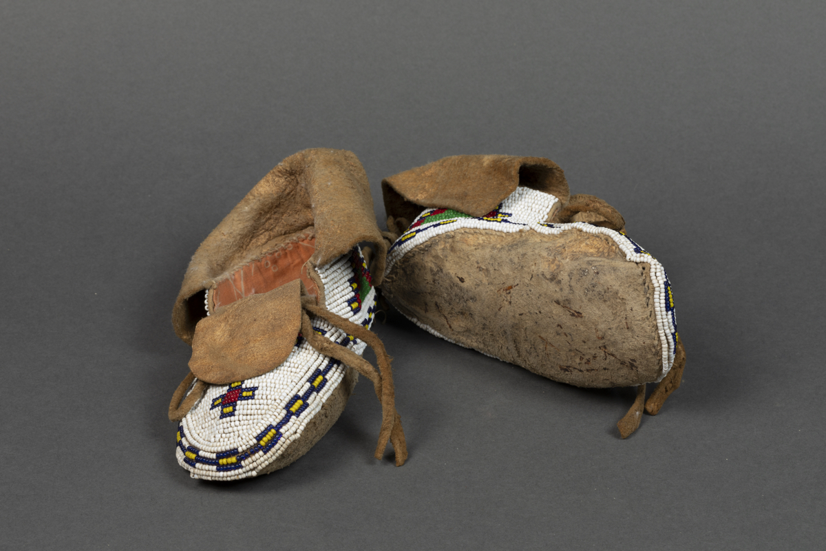 Moccasin