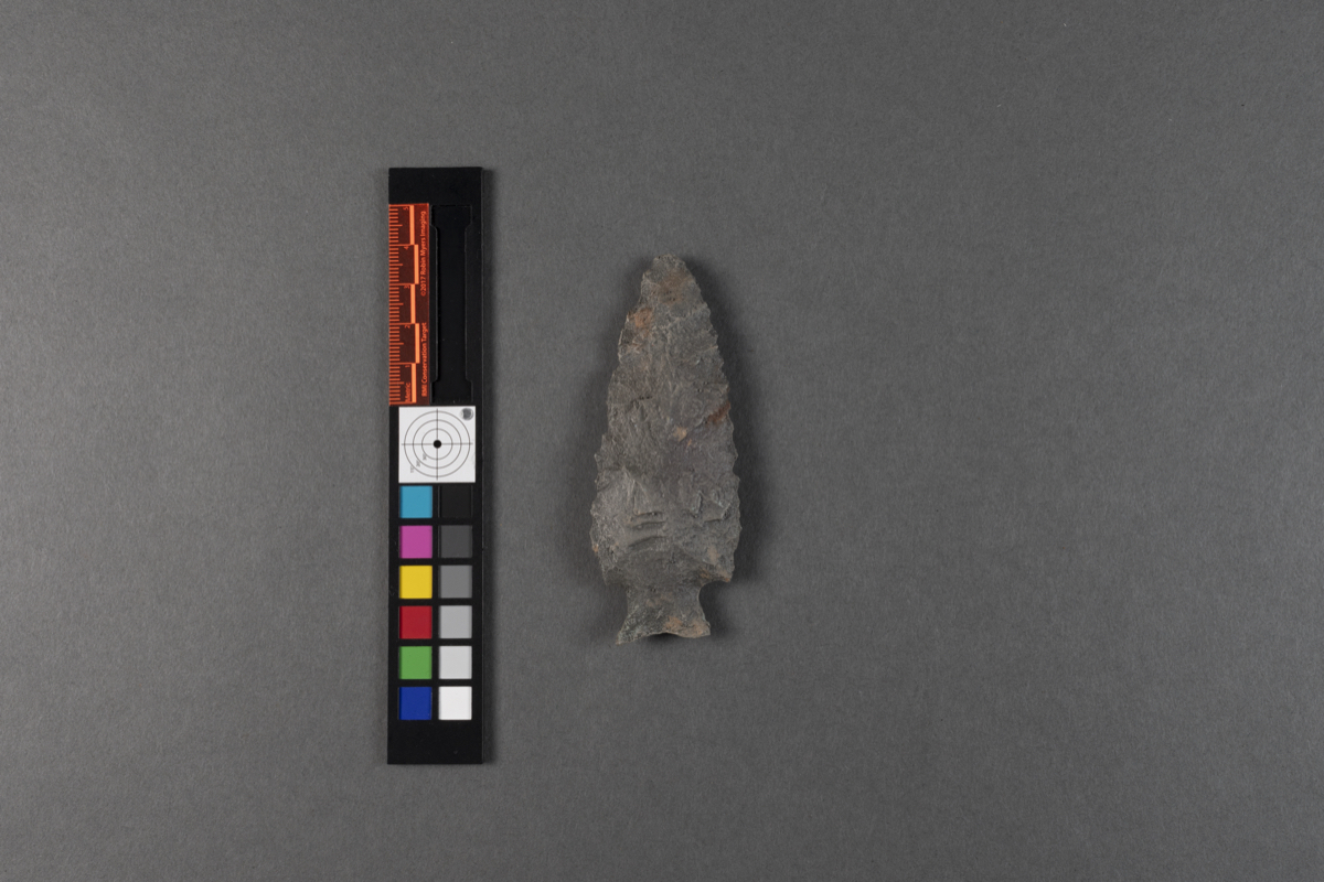 projectile point   arrow