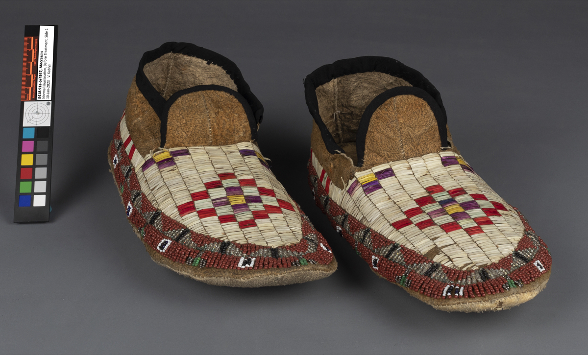 moccasin