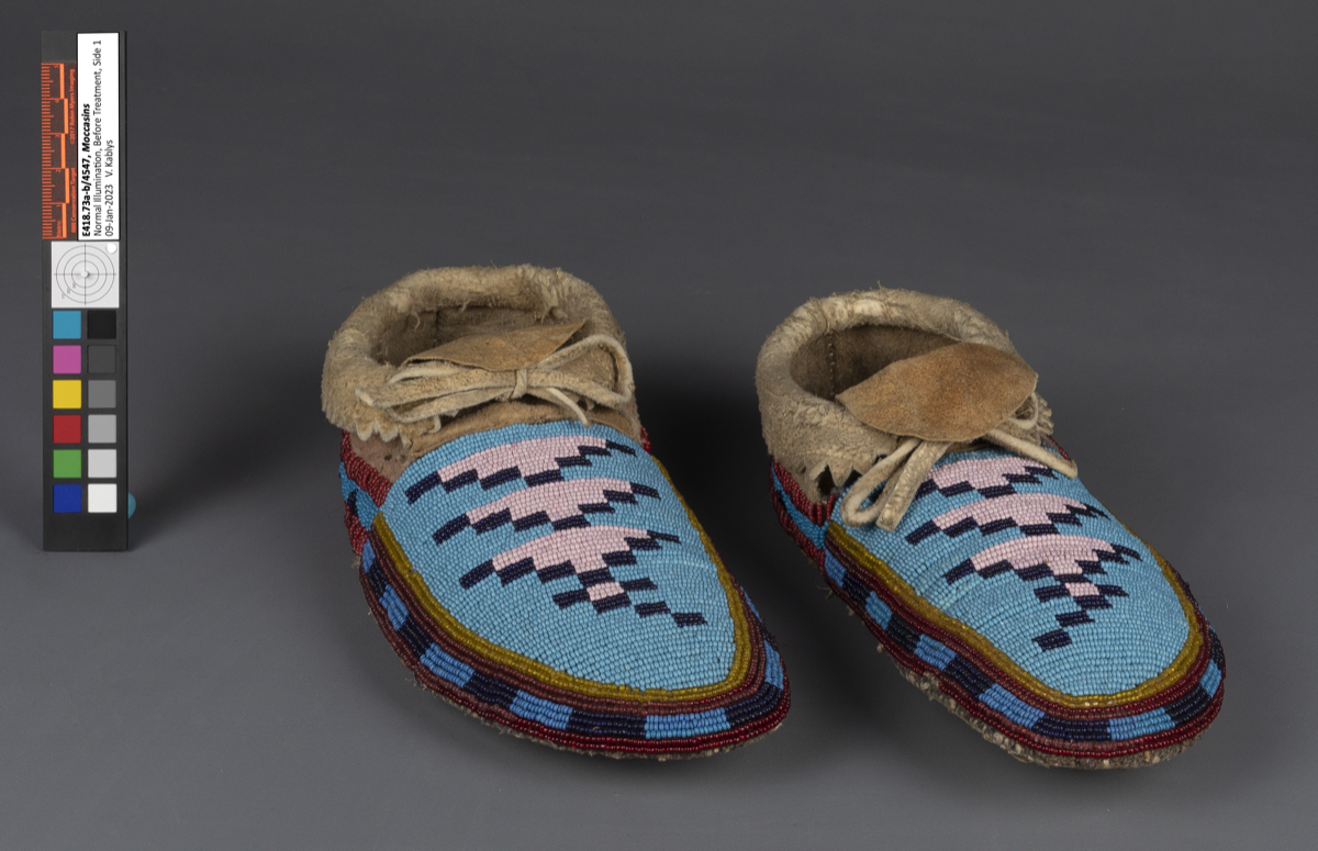 moccasin