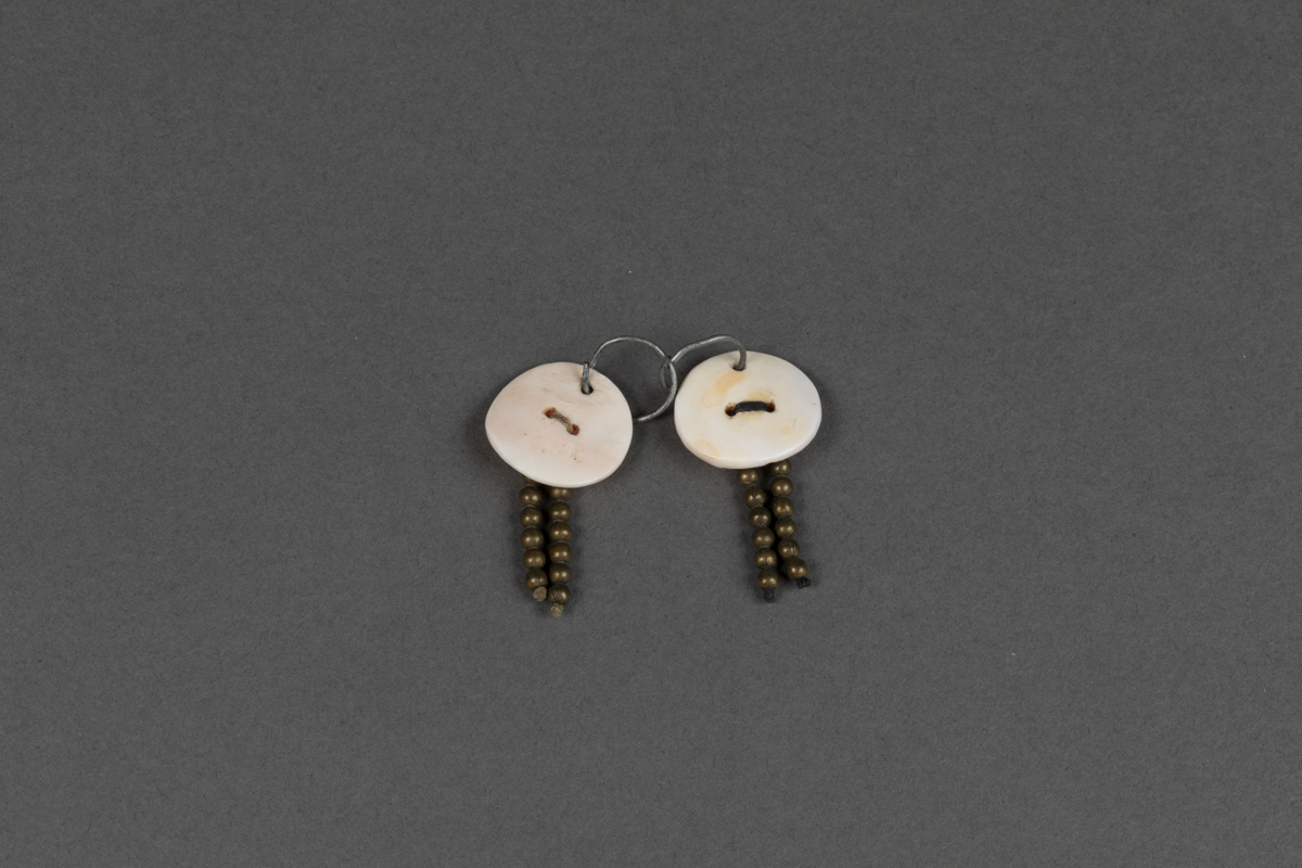 Shell earring