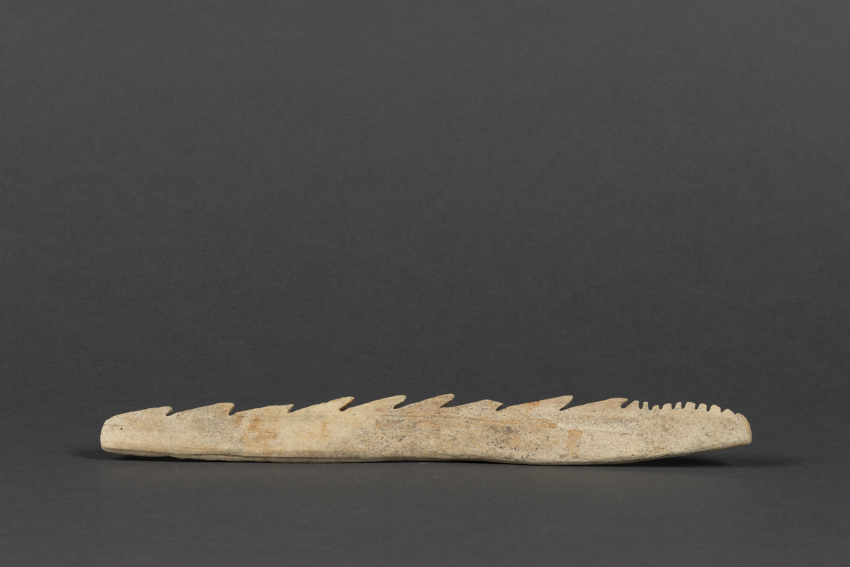 Bone harpoon head