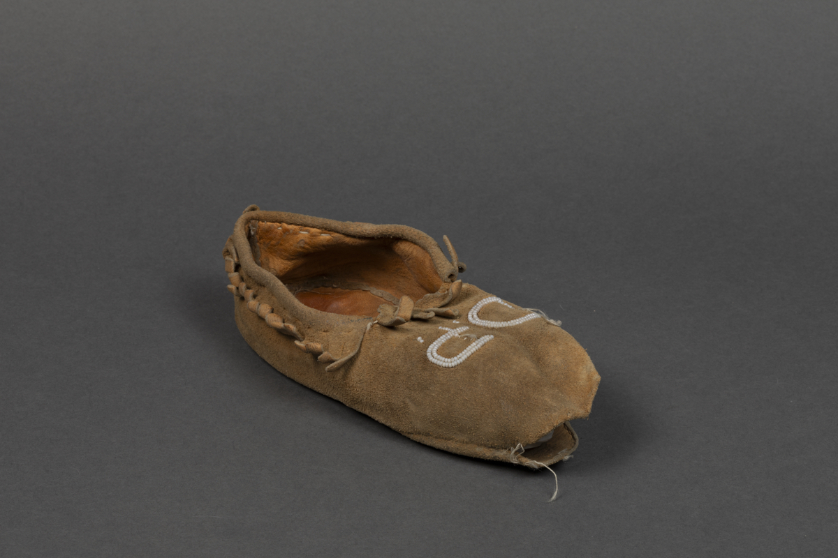 Moccasin