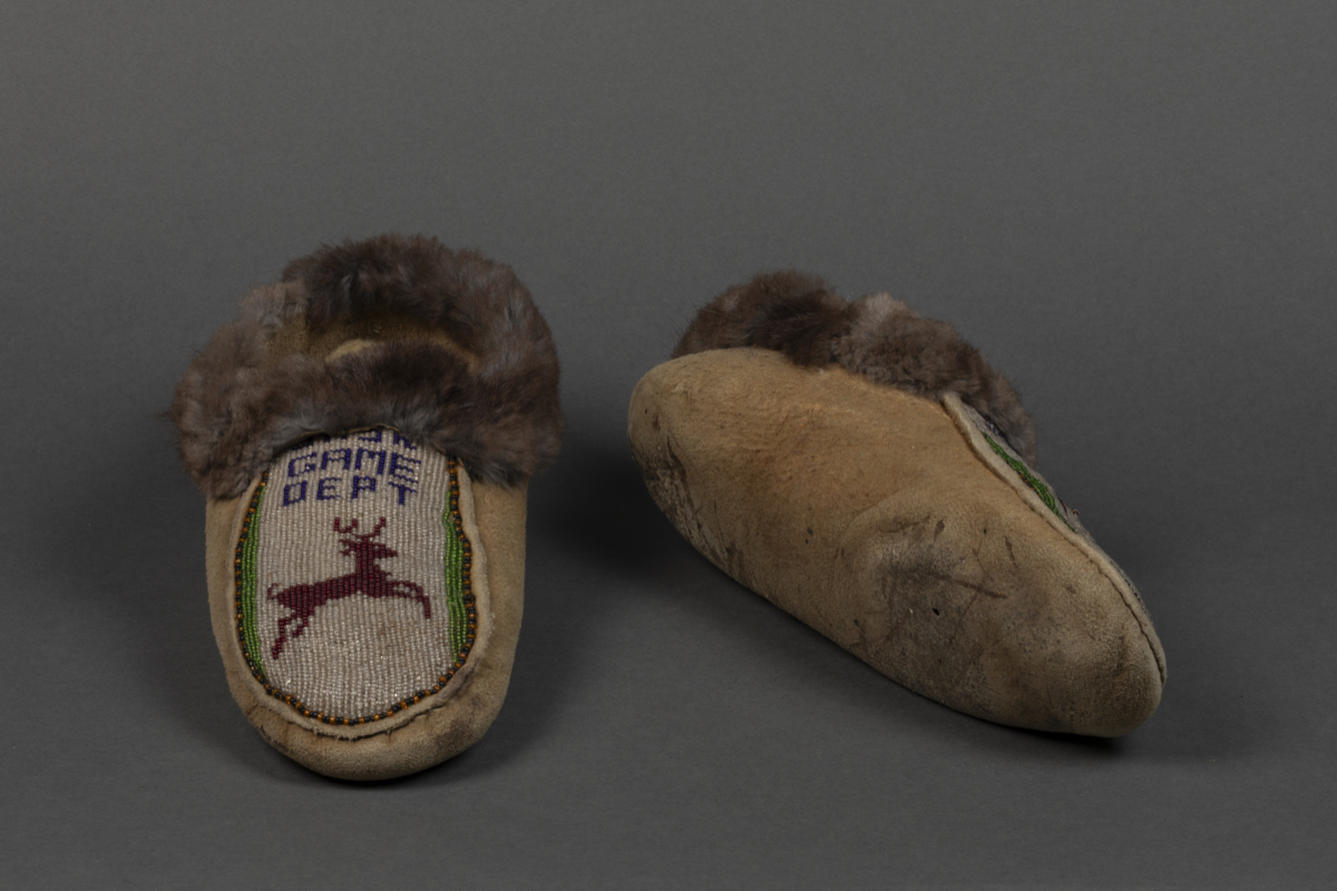 moccasin