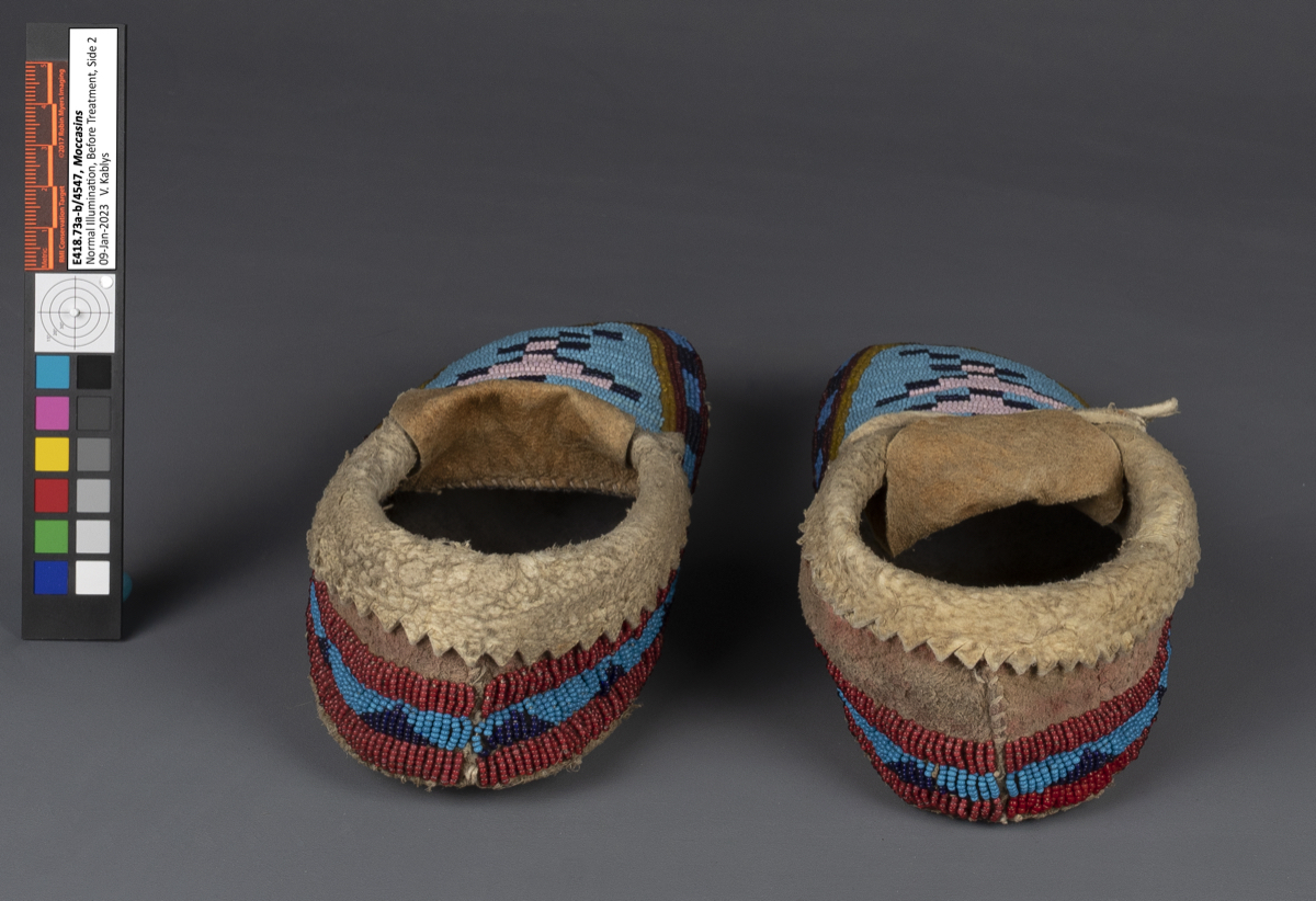 moccasin