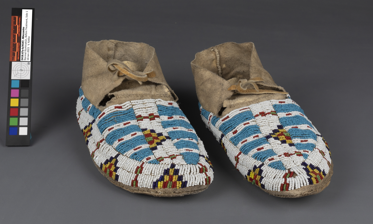 moccasin