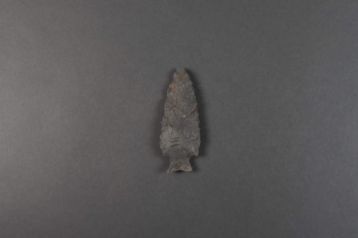 projectile point   arrow