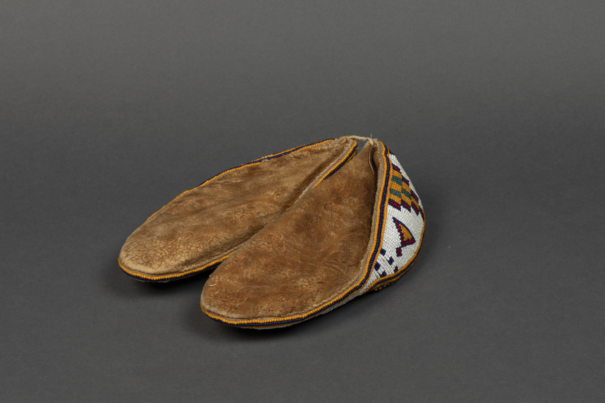 Moccasin