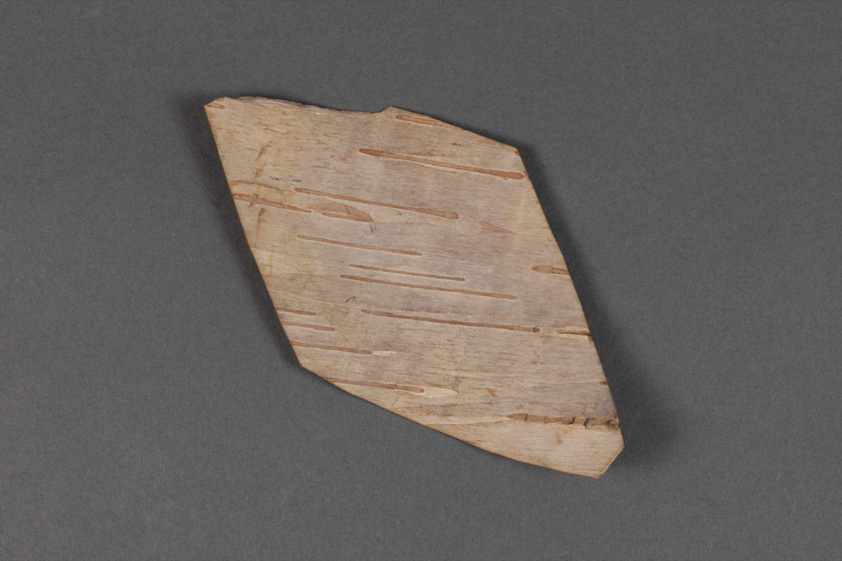 Bark  birchbark