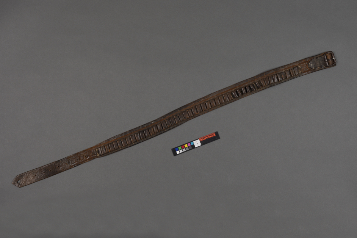 belt   cartridge belt