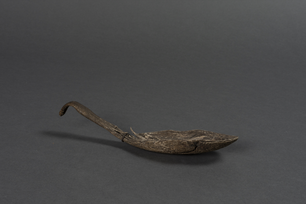 Buffalo horn spoon