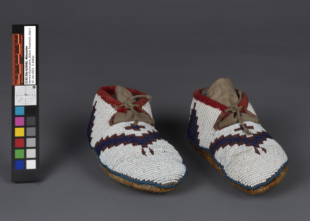 moccasin